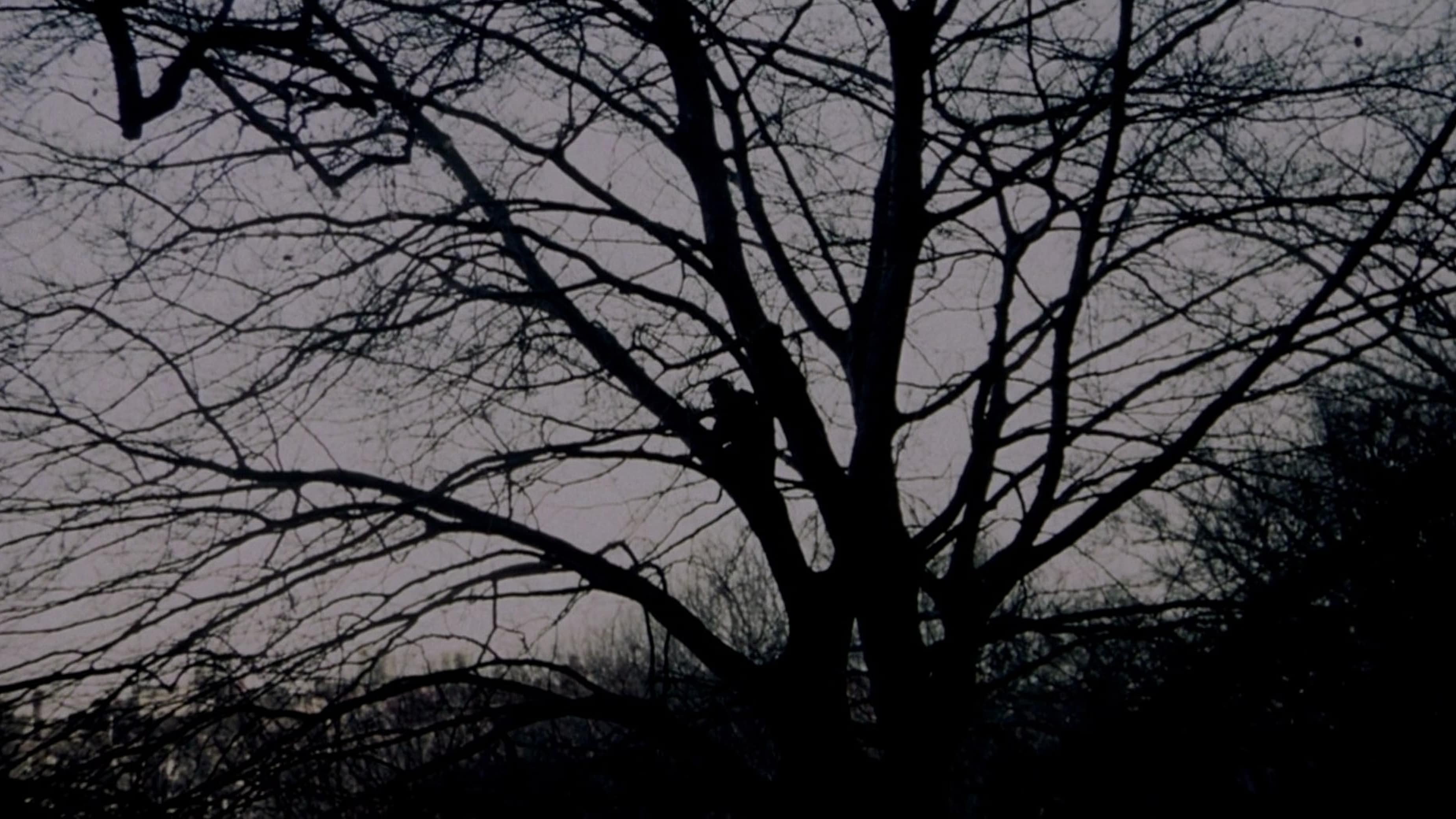 Прераждане (2004)