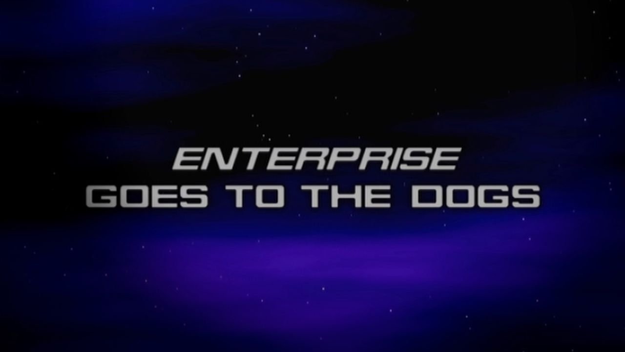 Thumbnail for Enterprise Goes to the Dogs Season 0 Episode 42