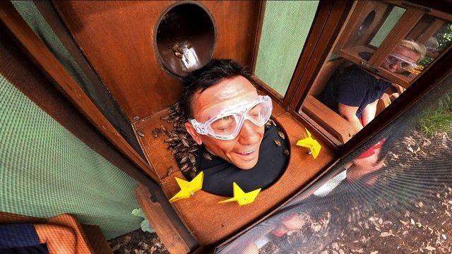 I'm a Celebrity...Get Me Out of Here!