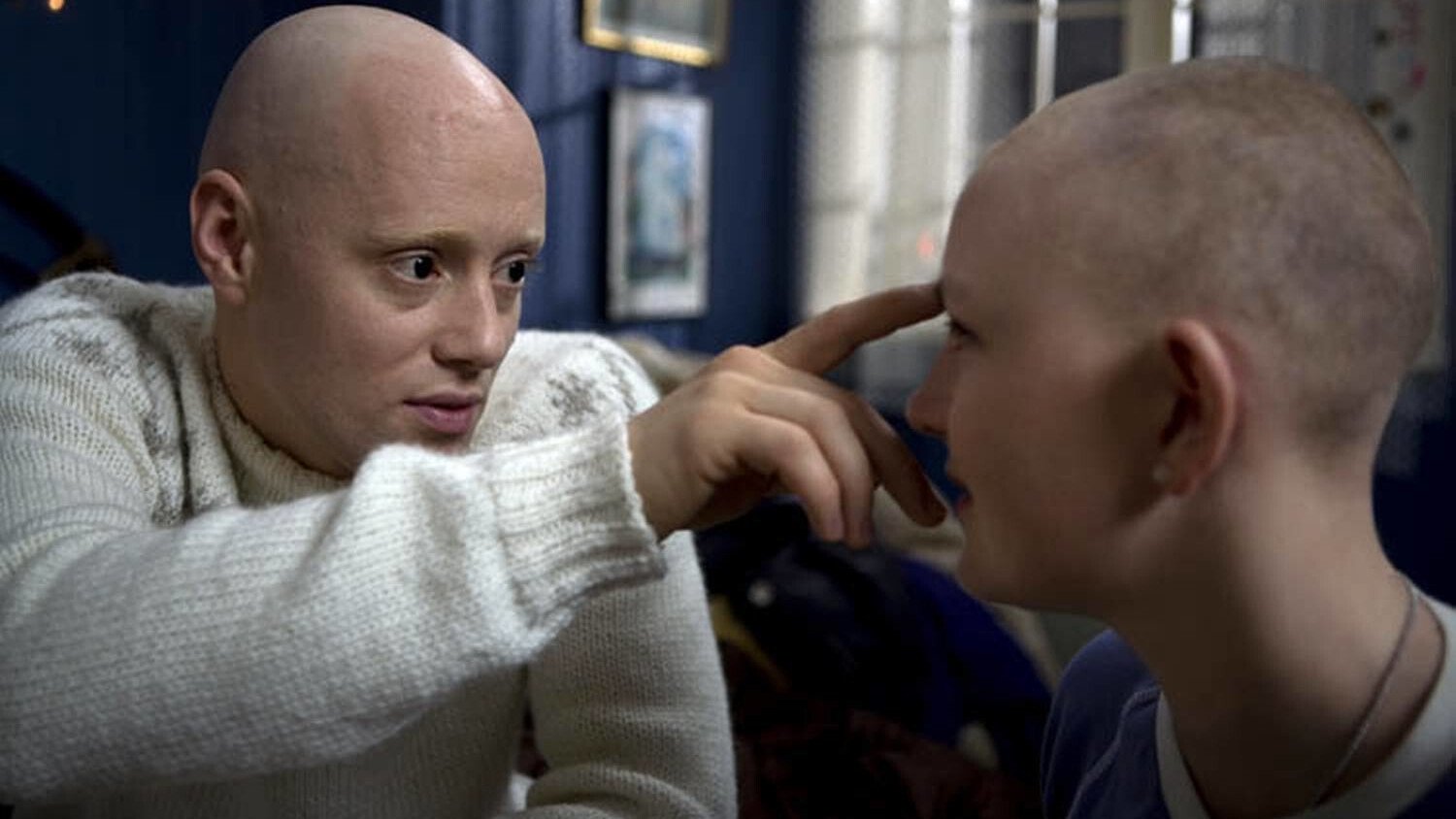 Through a Glass, Darkly (2008)