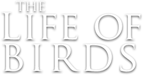 The Life of Birds Logo