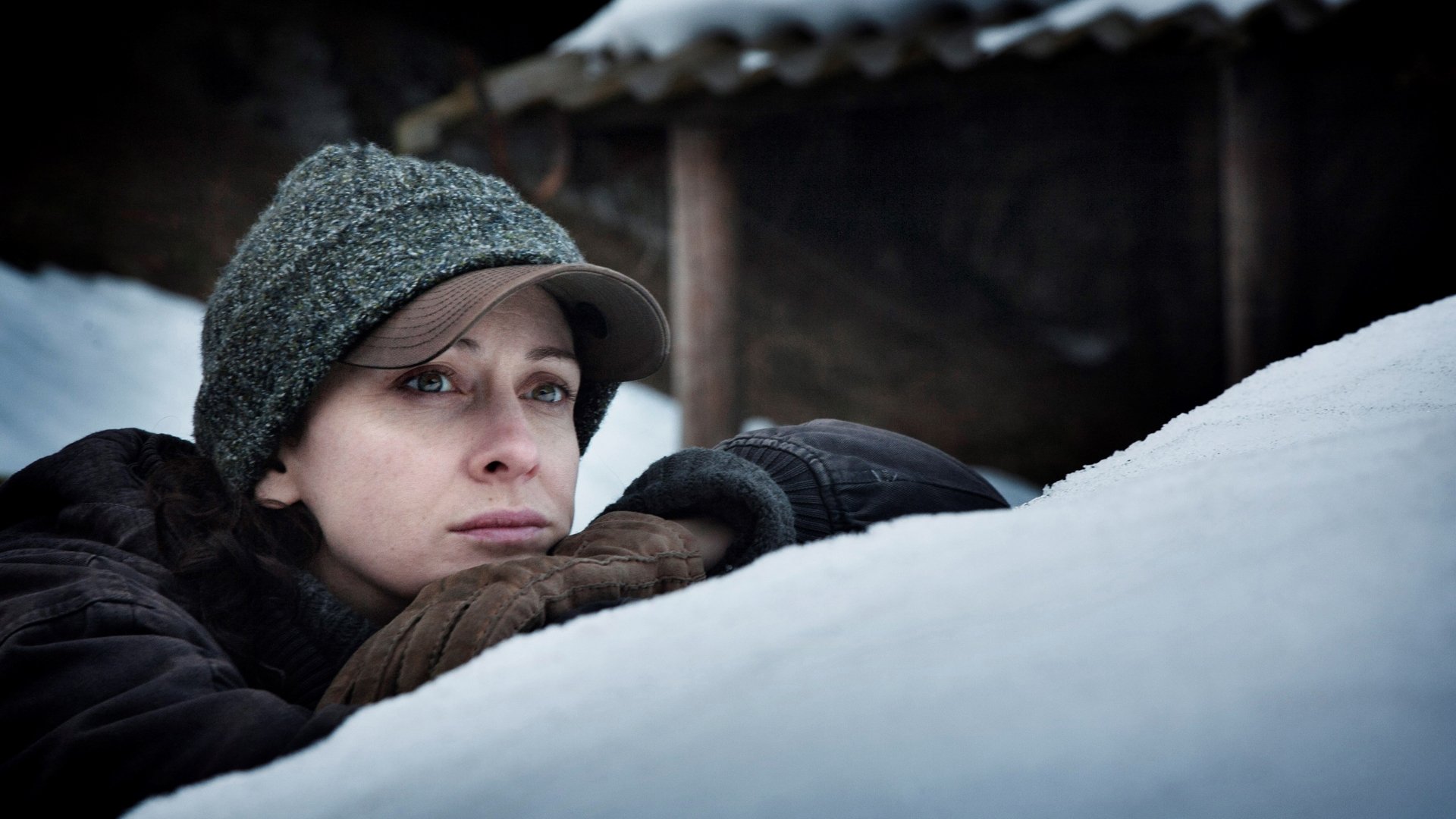 The Ice Forest (2014)