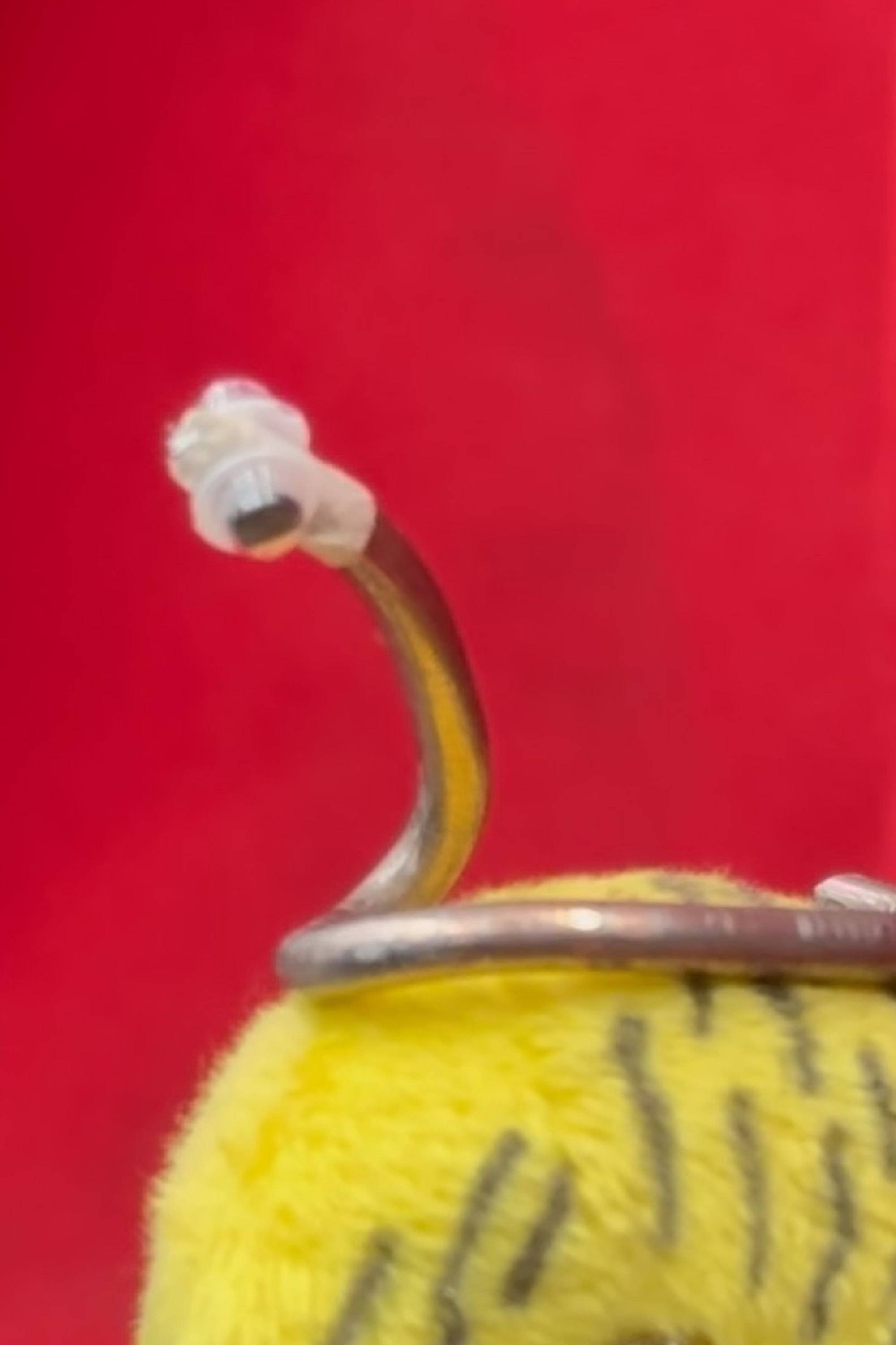 de worm