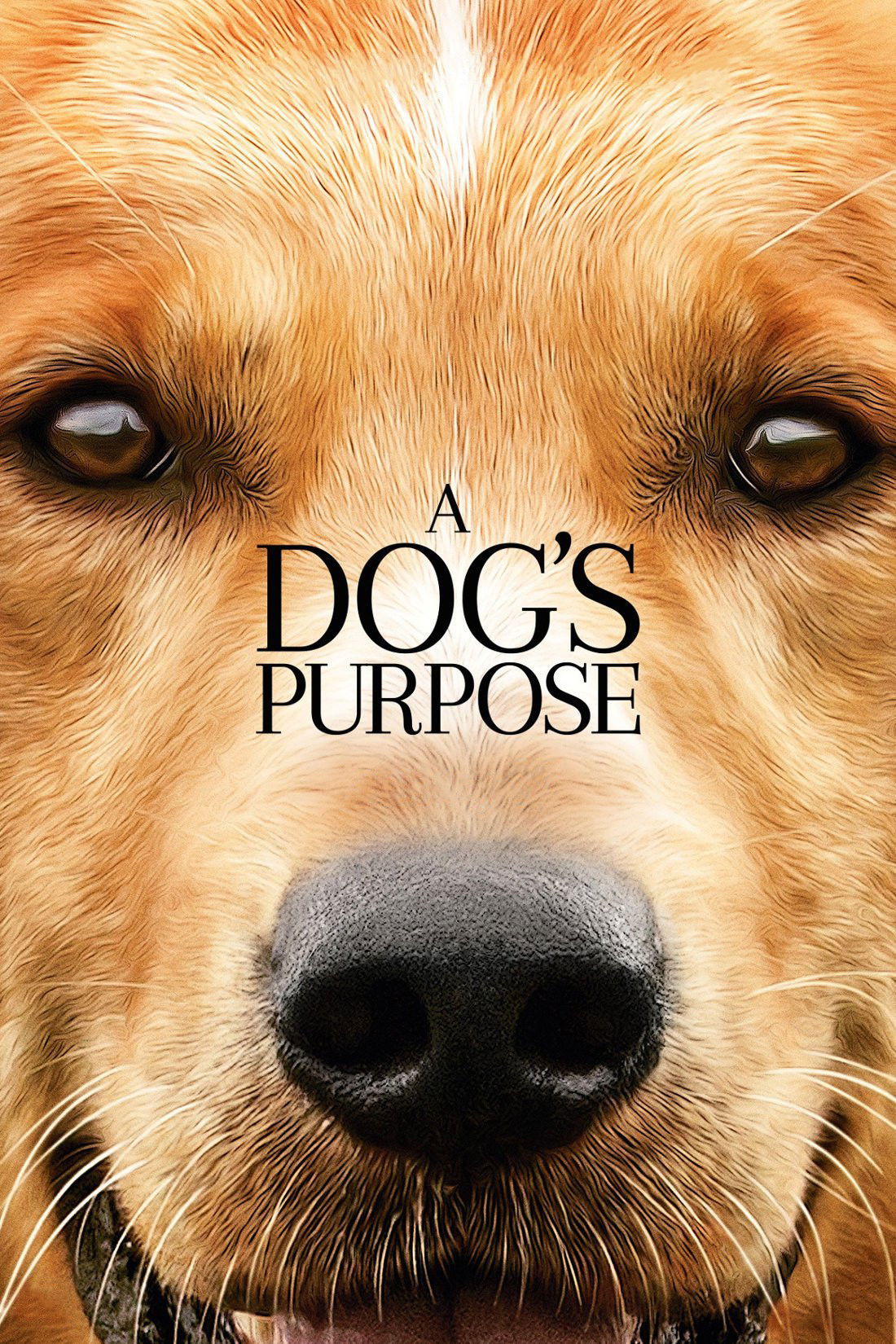 A Dog's Purpose (2017) Posters — The Movie Database (TMDb)