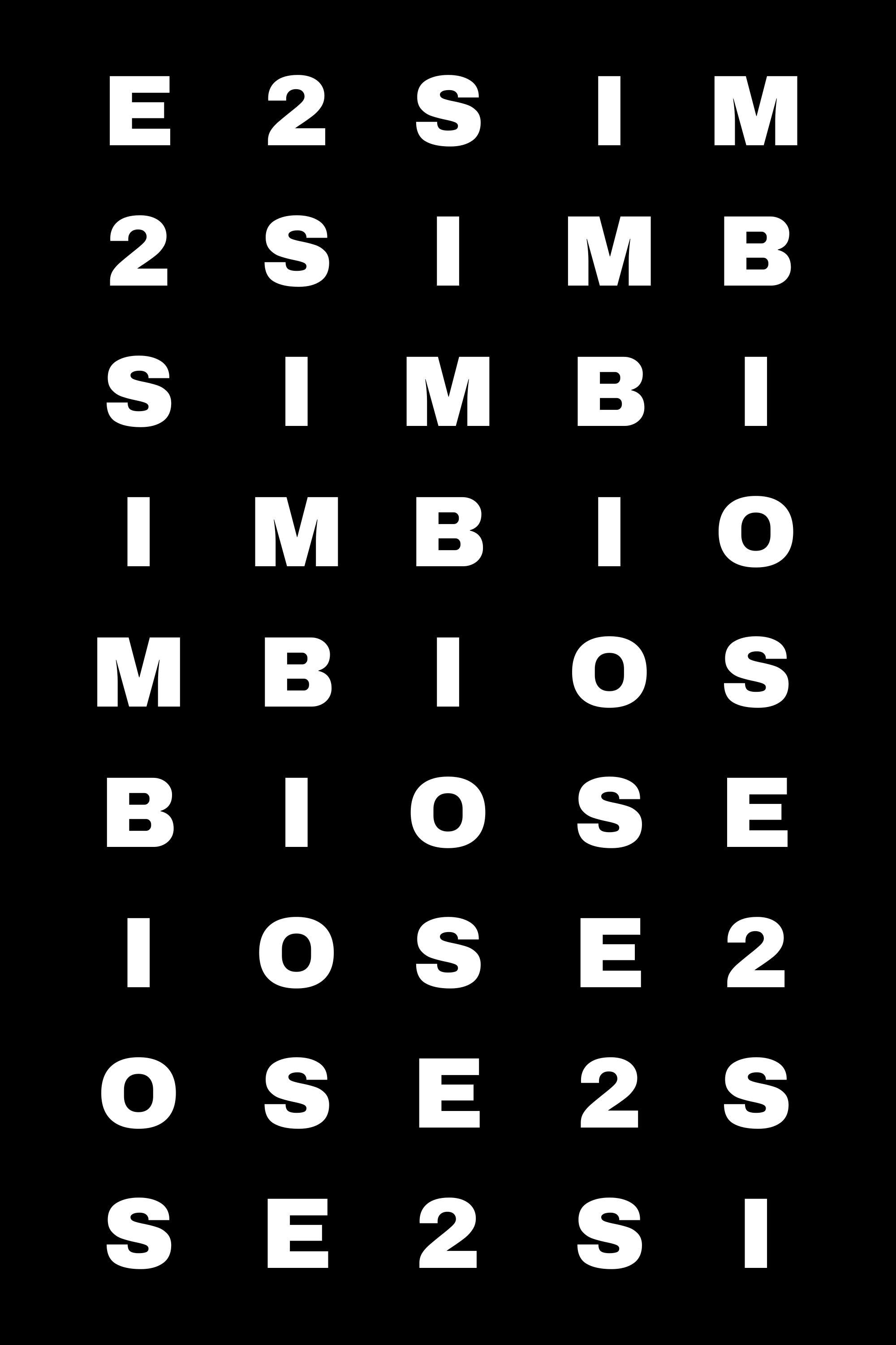 SIMBIOSE 2