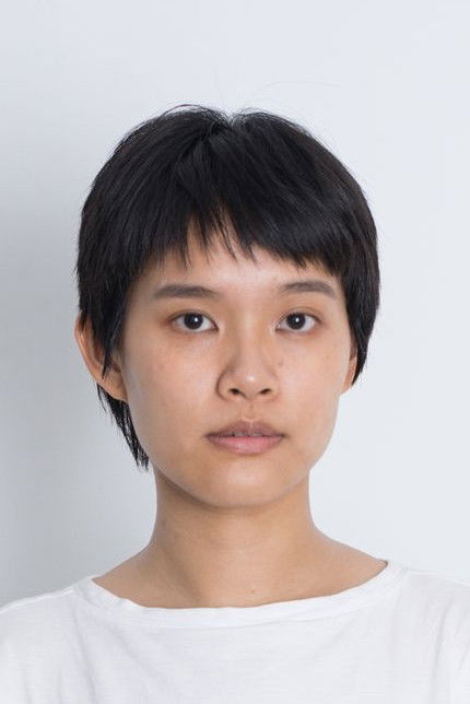 et billede af Nemol Fan