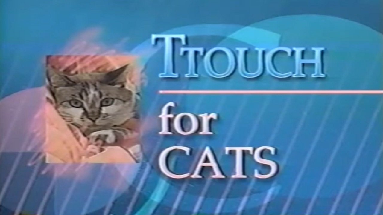 A TTouch of Magic for Cats (1994)