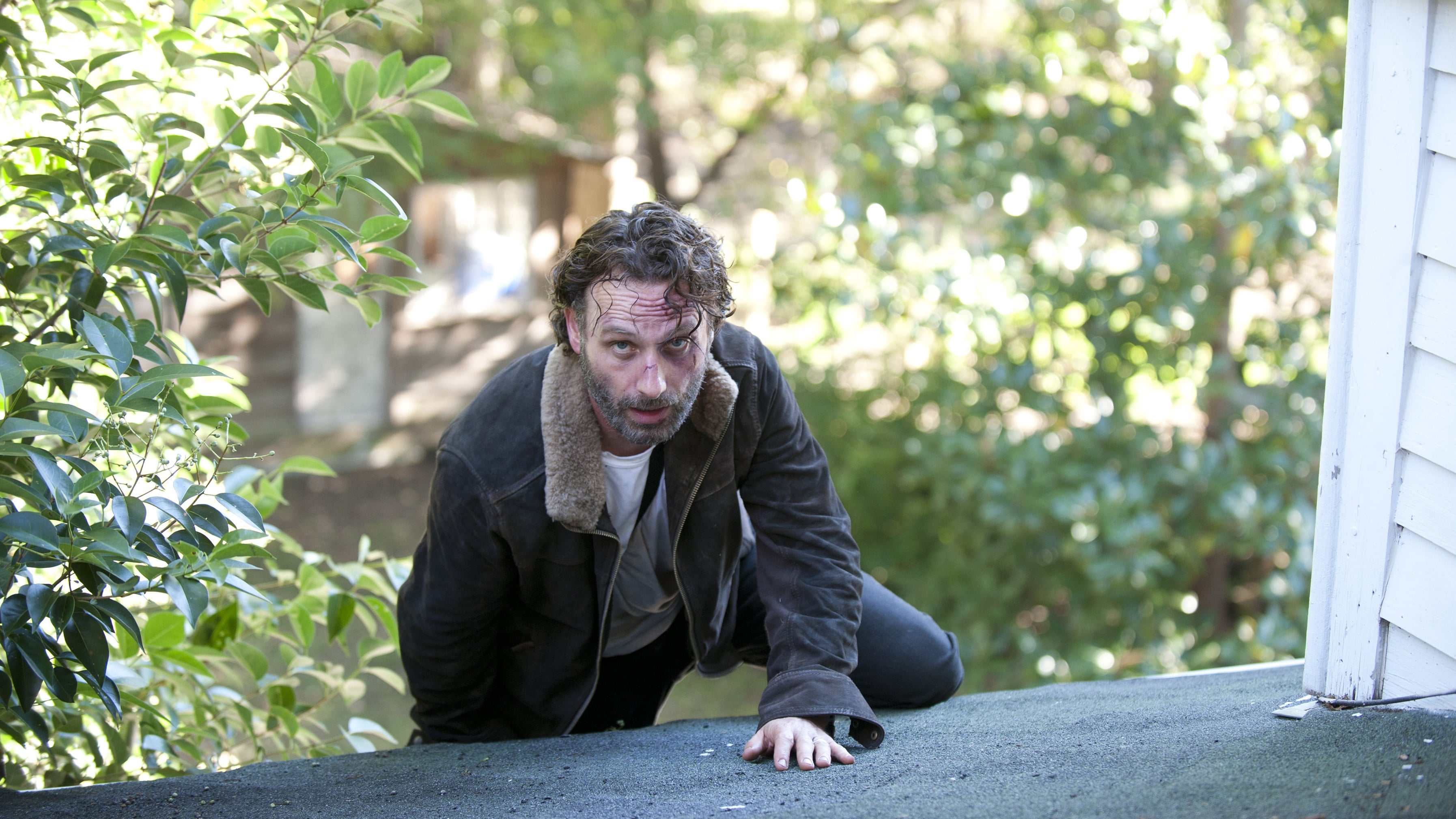 The Walking Dead Season 4 :Episode 11  Claimed