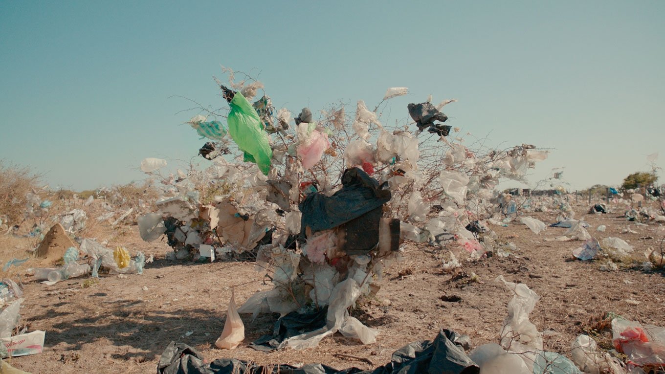 Aftermath (2021)