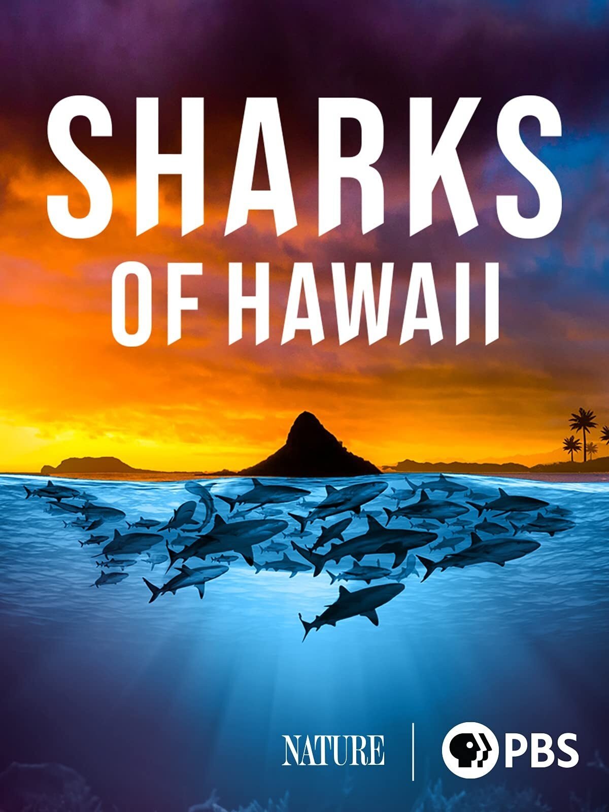 Sharks of Hawaii (2021) The Poster Database (TPDb)