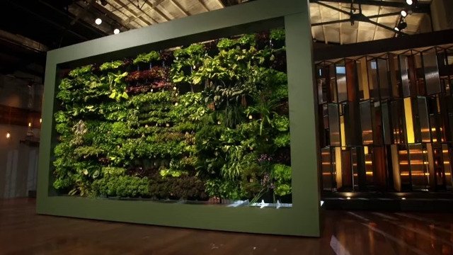MasterChef (Australia) 14x31