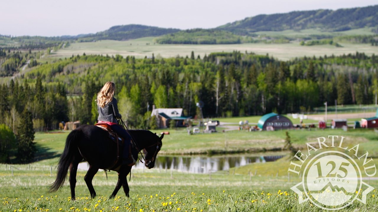 Heartland - Paradies für Pferde Staffel 8 :Folge 4 