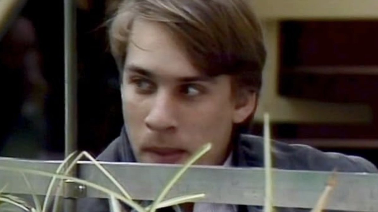 Mikkels motiver (1985)