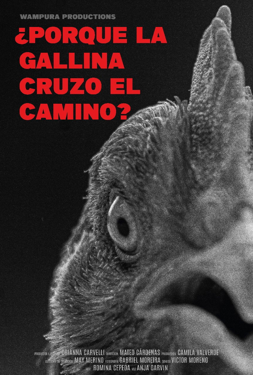 &iquest;Por qu&eacute; la gallina cruz&oacute; el camino?