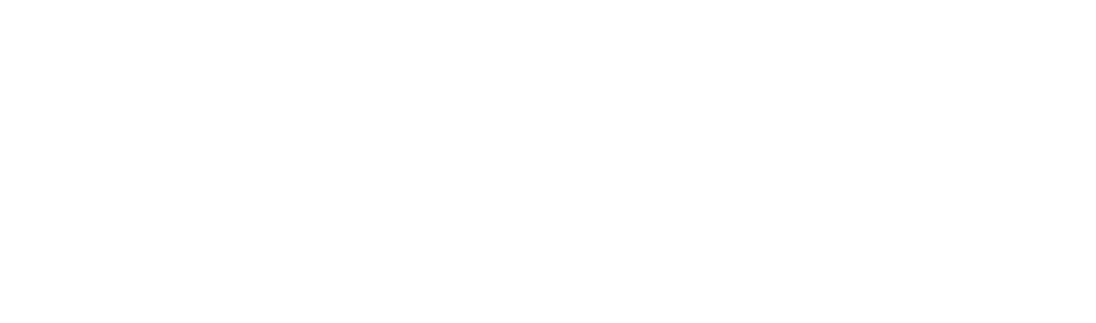 Planet of the Birds logo