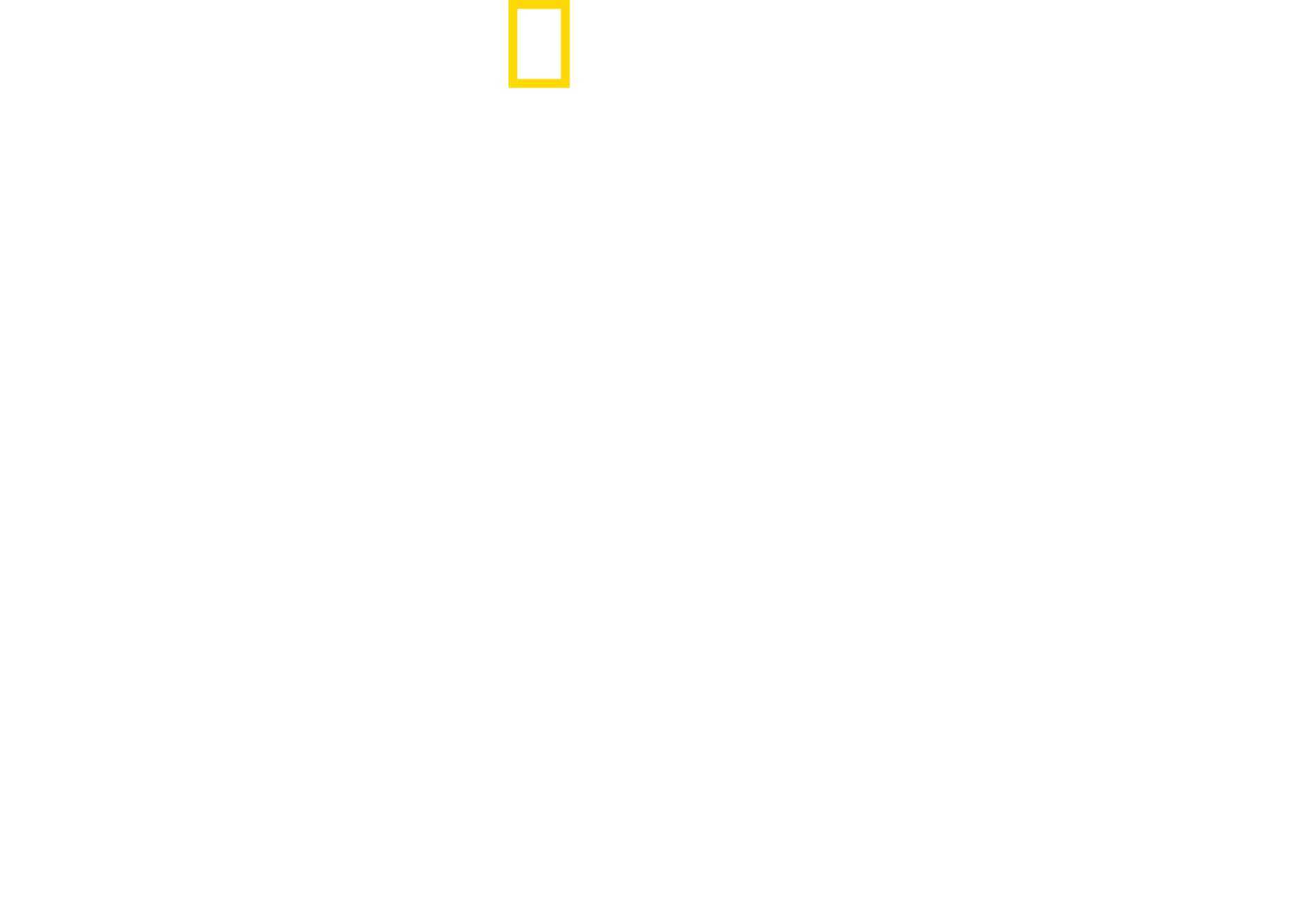 Valley of the Boom Logo