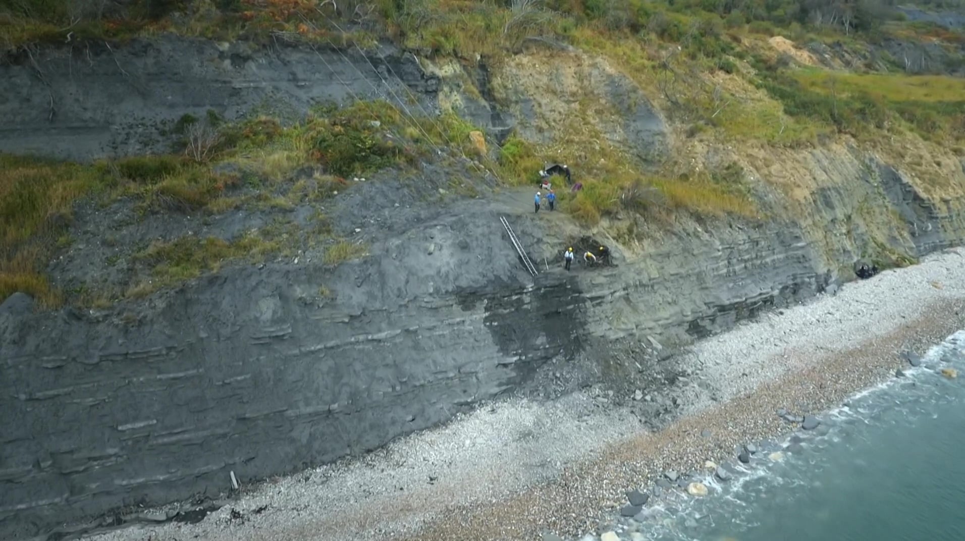 Attenborough and the Sea Dragon (2018)