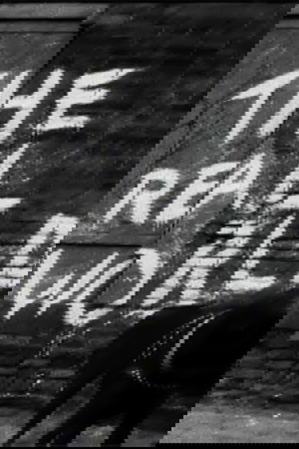 The Real World - Season 1
