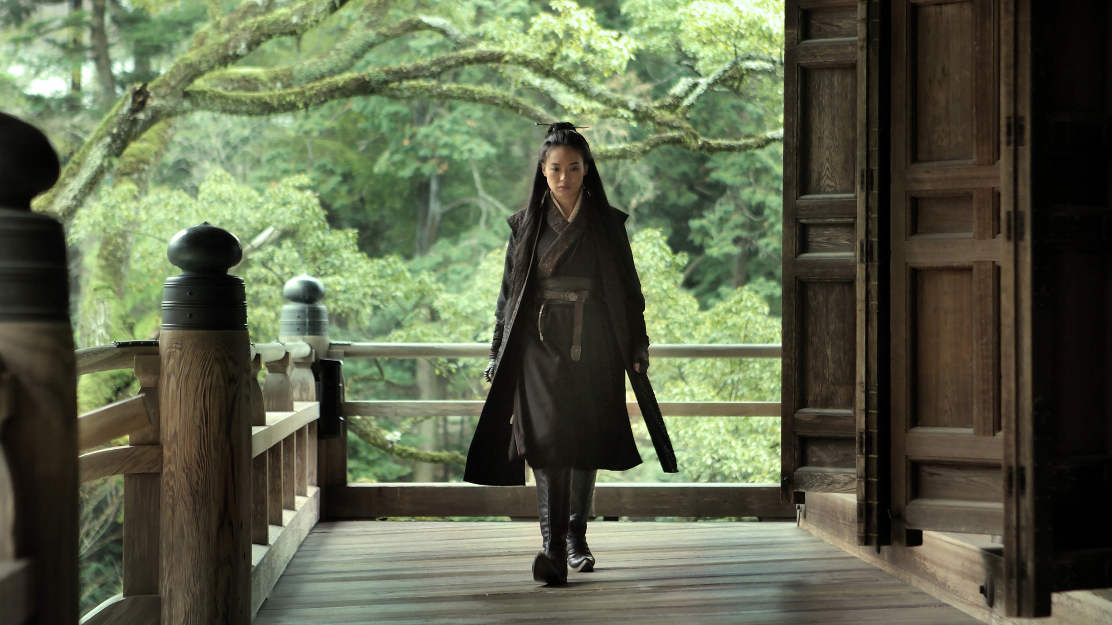 Image du film The Assassin qh4fxgupdqirec3couzssera6kbjpg