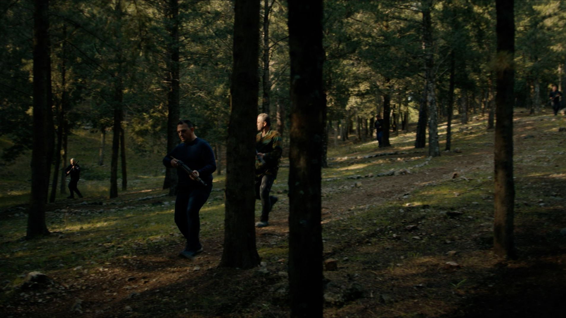 Secret of the Forest