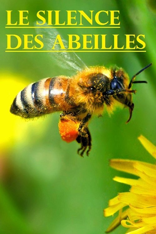 Le silence des abeilles (2008)