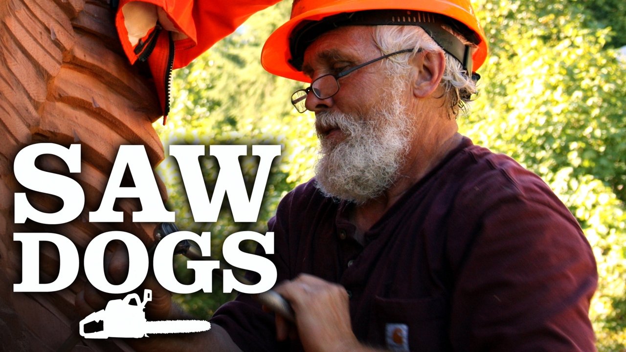 Saw Dogs poster