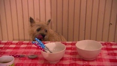 Thumbnail for Episode 23 Season 1 Episode 23