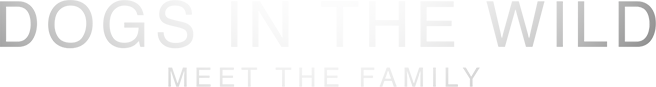 Dogs in the Wild: Meet the Family Logo