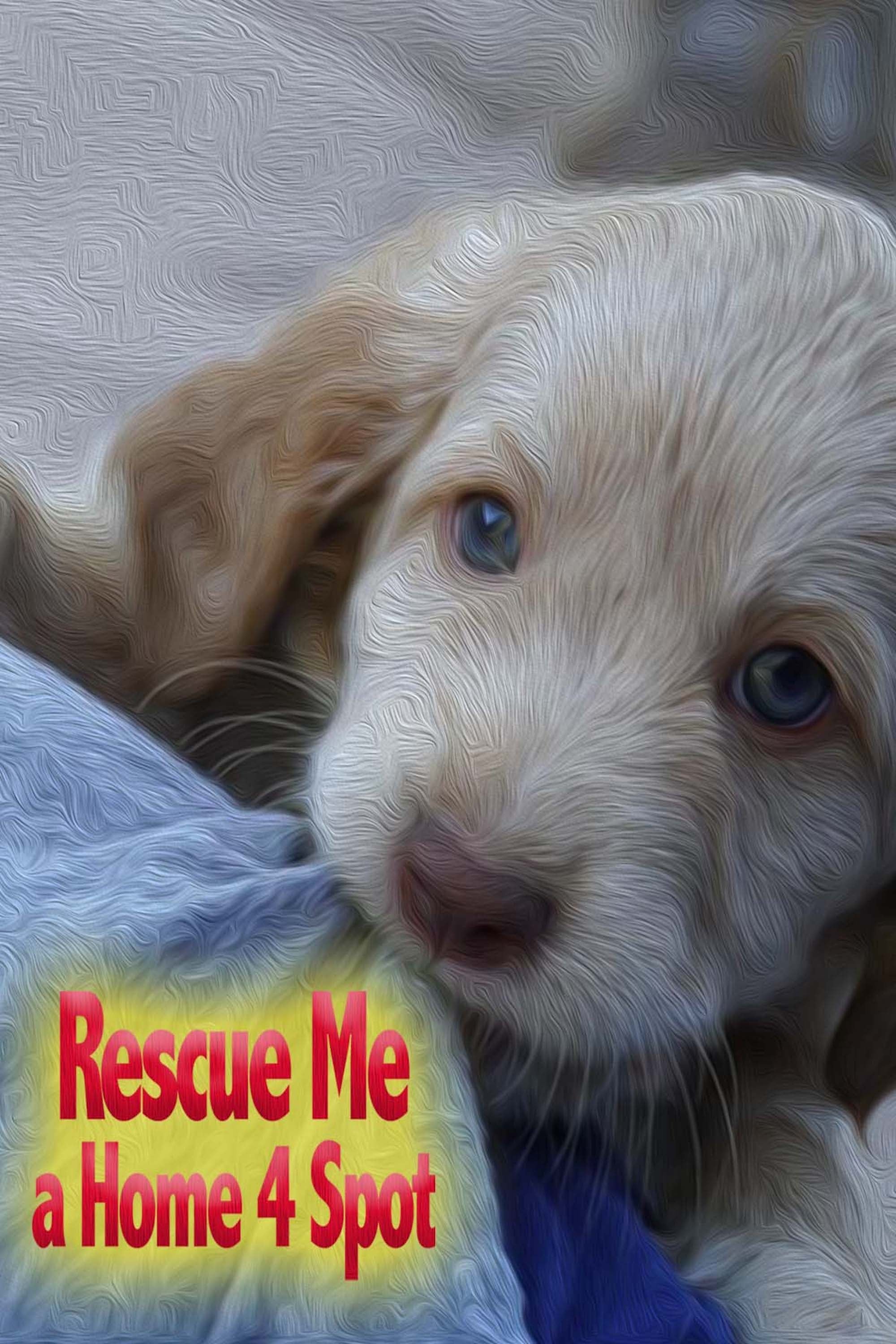 Rescue Me: A Home 4 Spot on FREECABLE TV