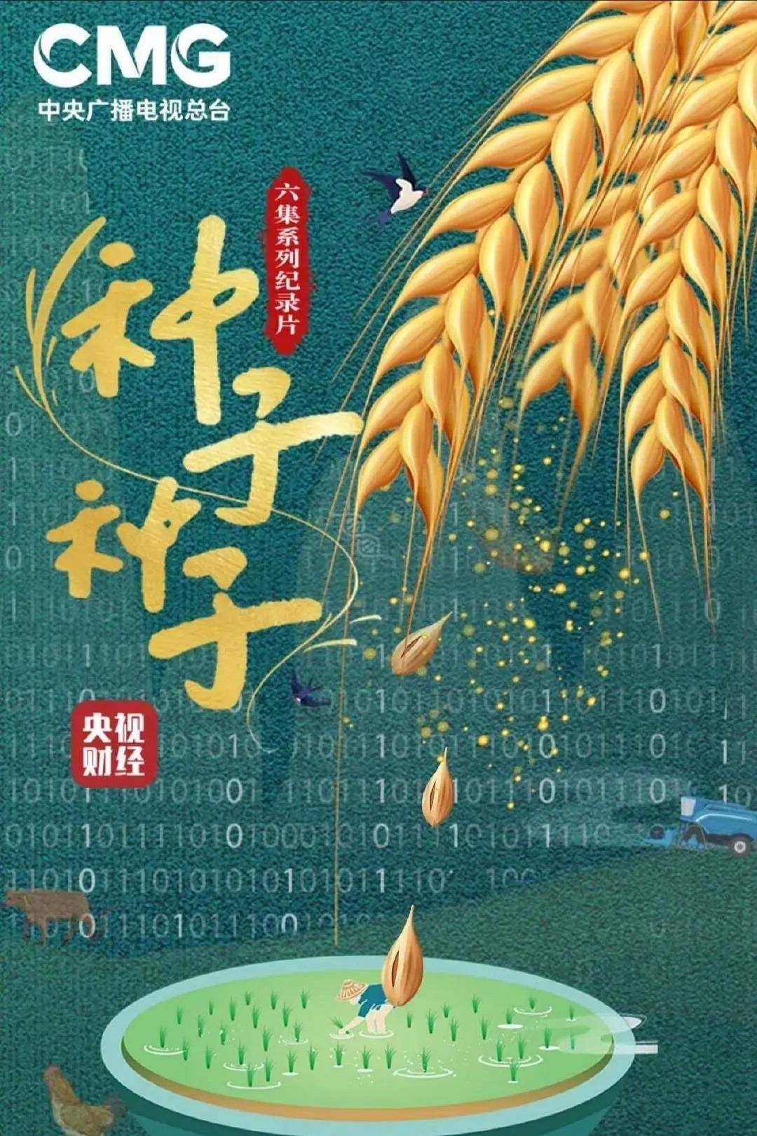 种子 种子
