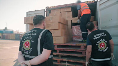  Vücuda Bantlanmış Tütün