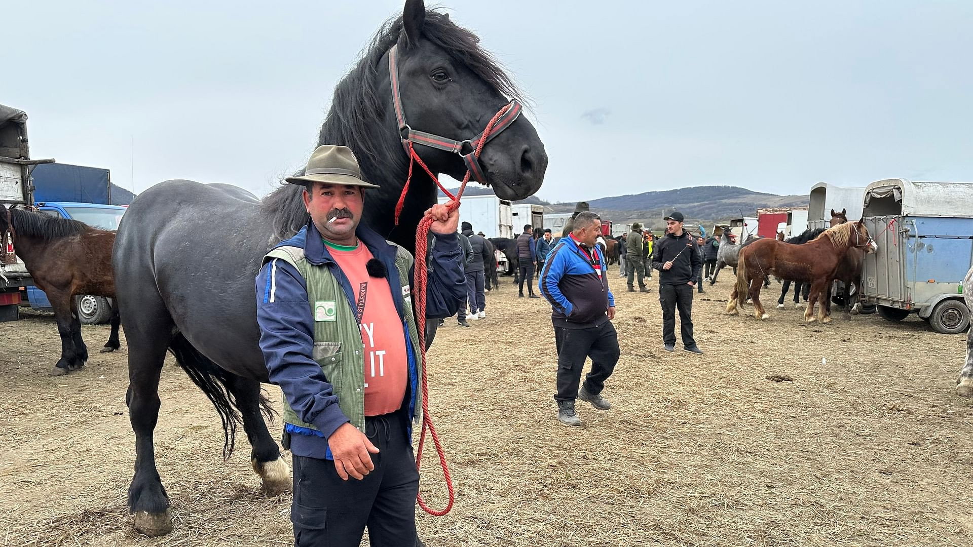 Romania's Controversial Horse Markets