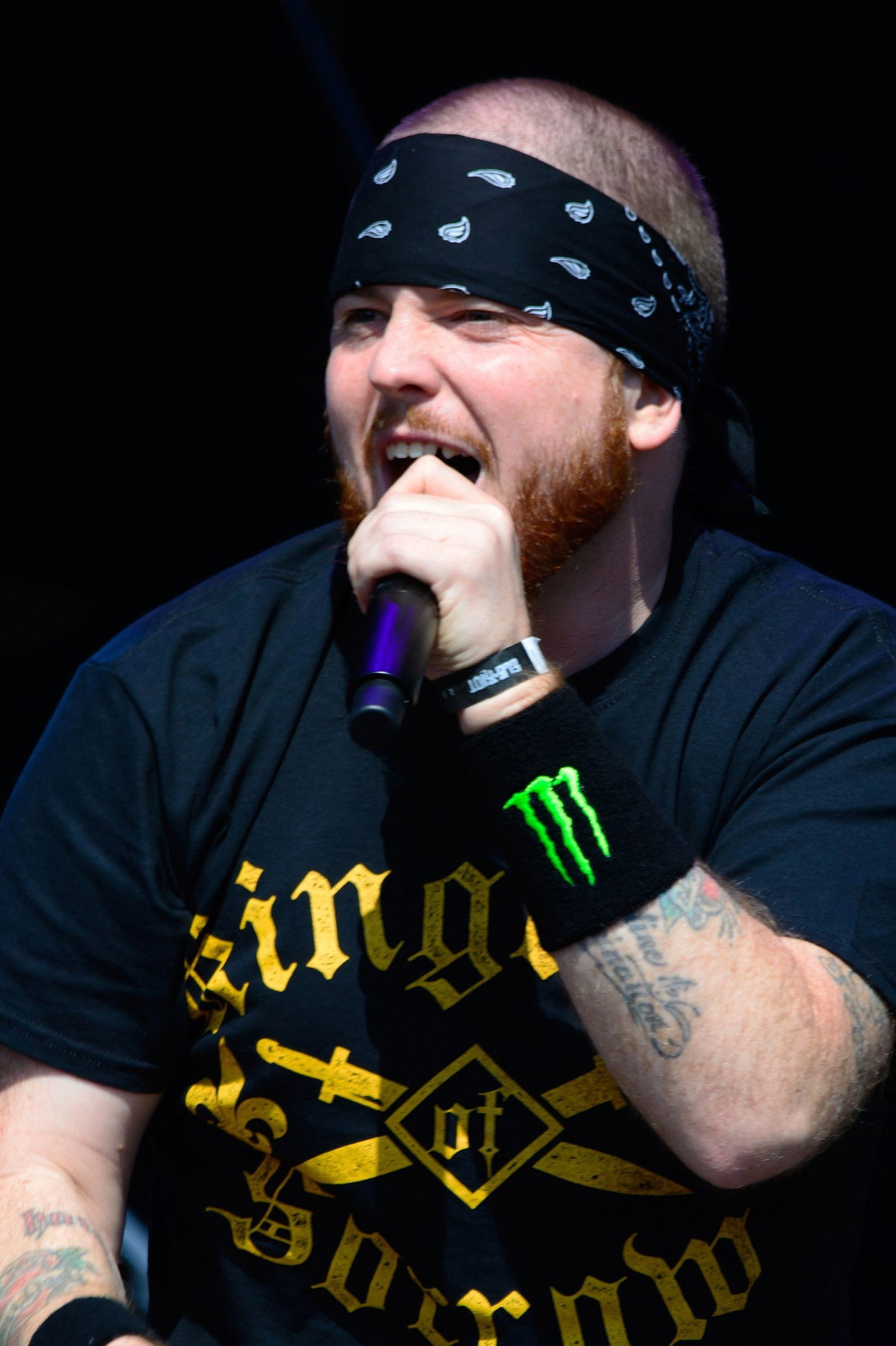 et billede af Jamey Jasta
