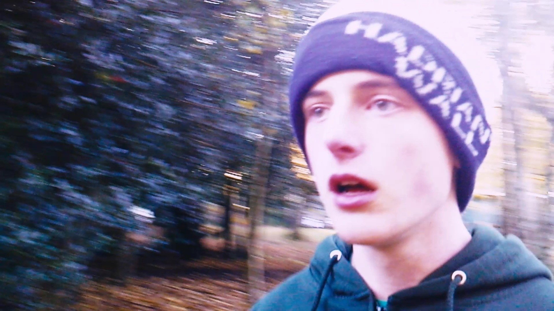 The Terror of Whippendell Wood: Part 3: The Madness (2023)
