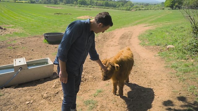 Countryfile 38x20