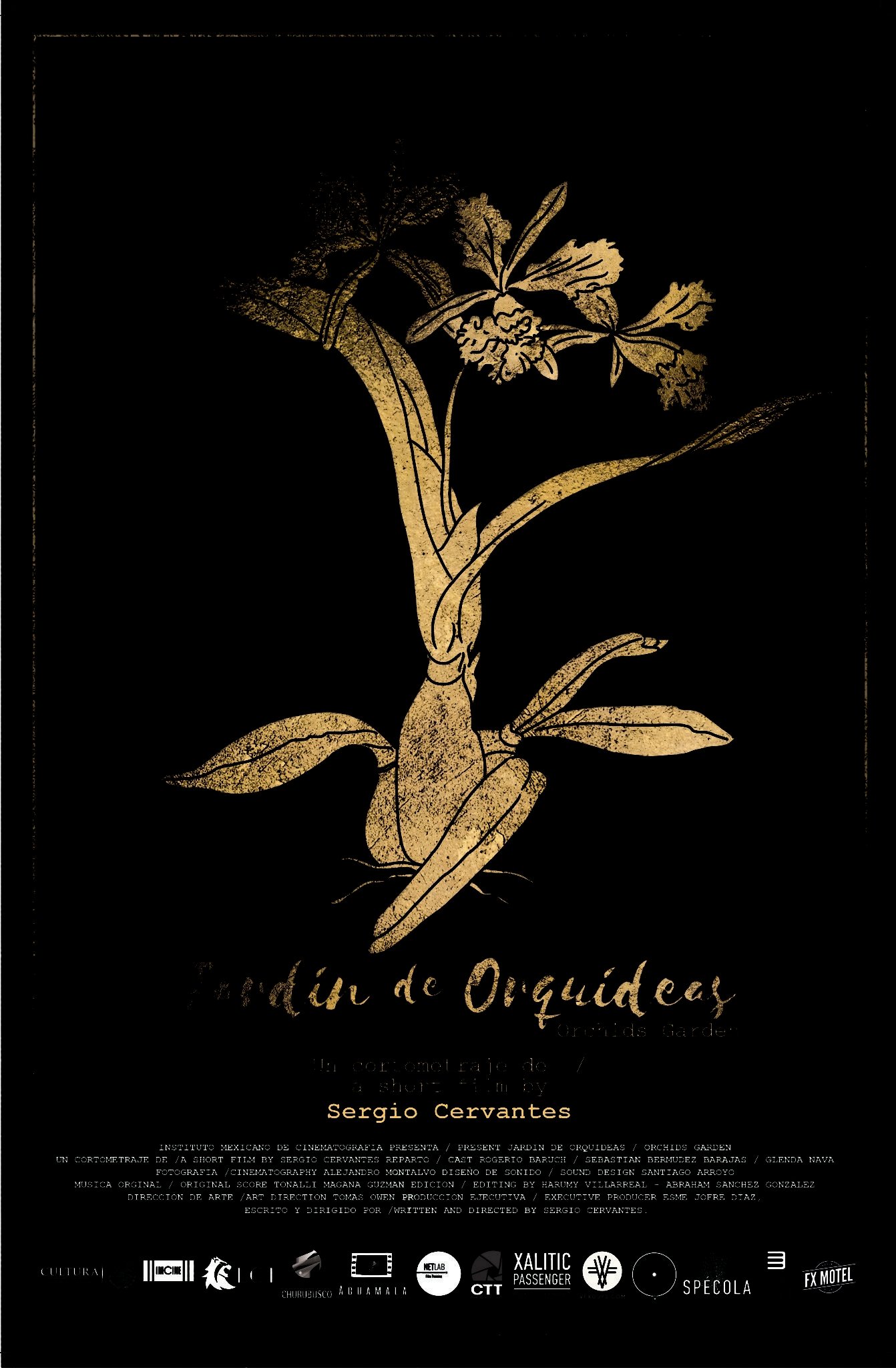 Jardín de orquídeas Jardín de orquídeas