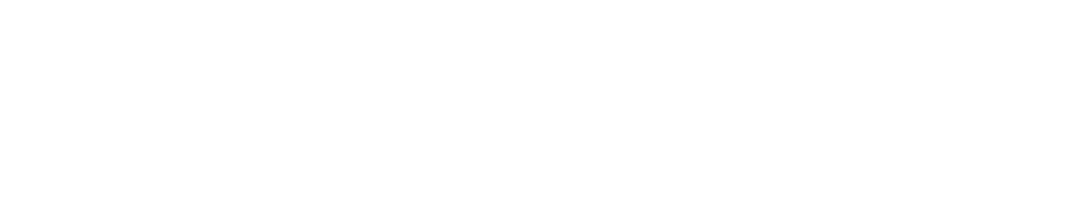 Million Dollar Secret Logo