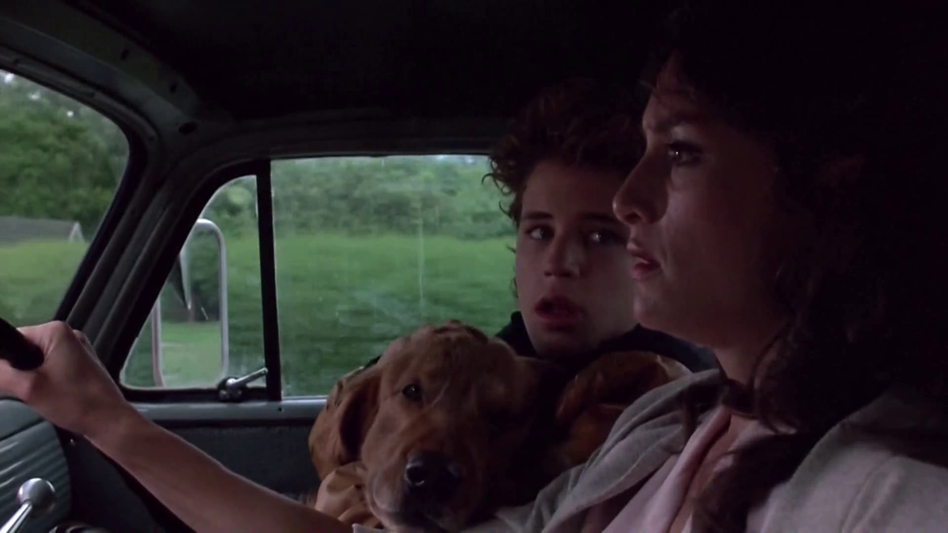 Watchers (1988)