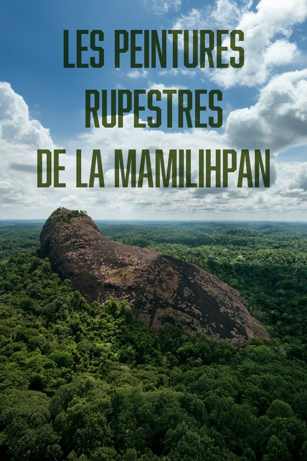 Poster for The Rock Paintings of the Mamilihpan