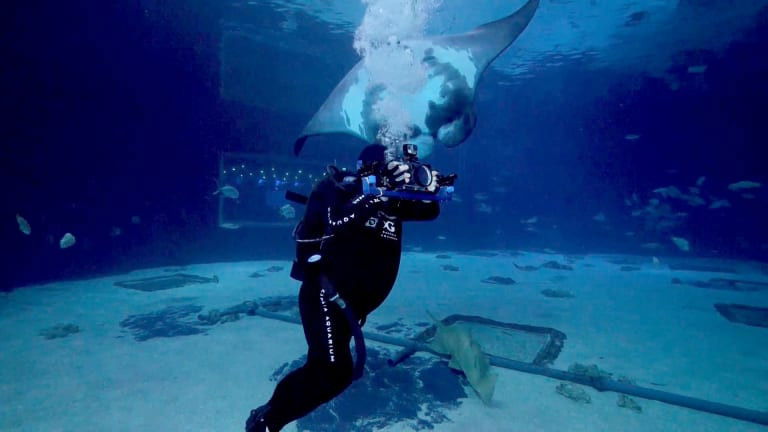 The Aquarium S02E03 backdrop