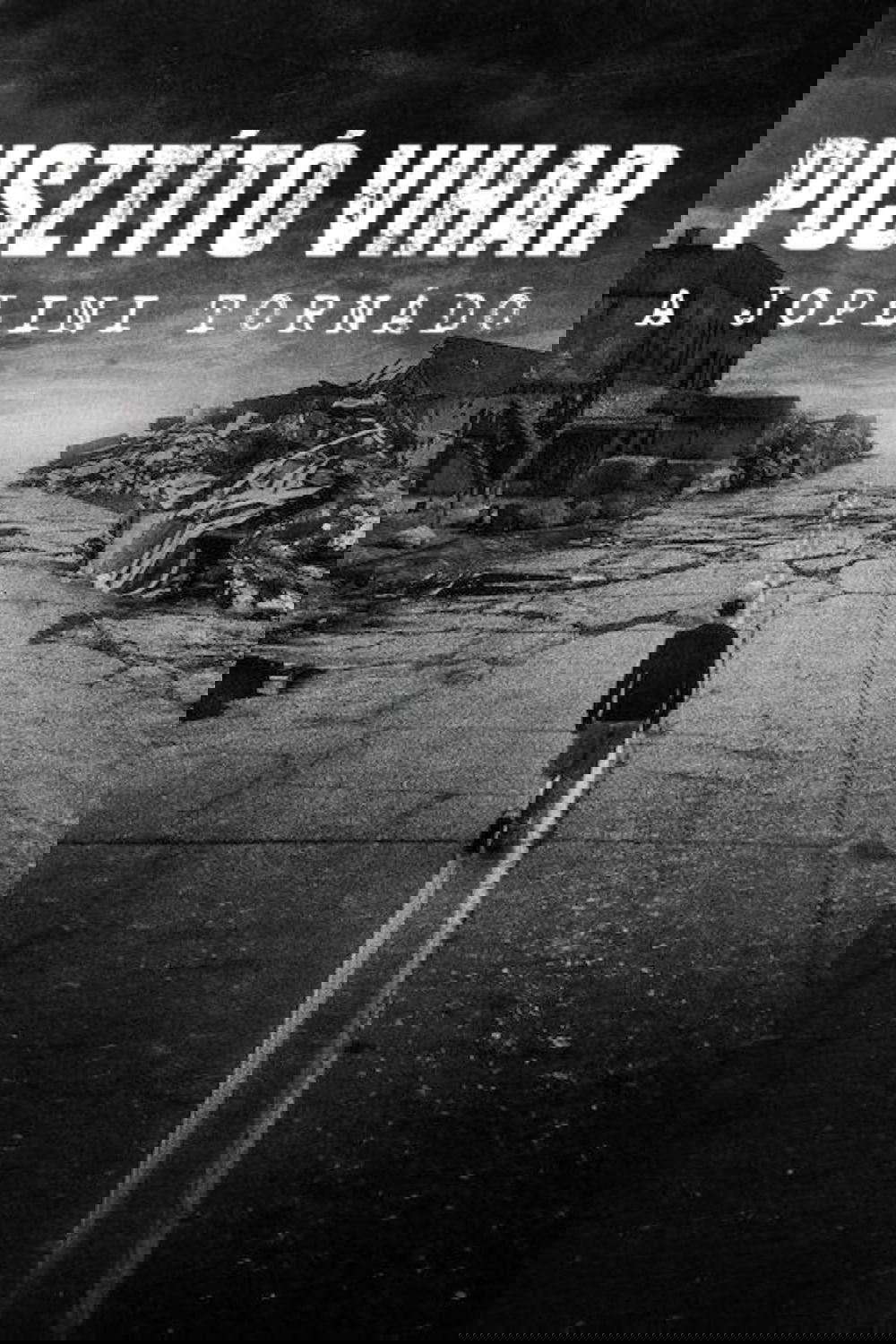 Pusztító vihar: A joplini tornádó