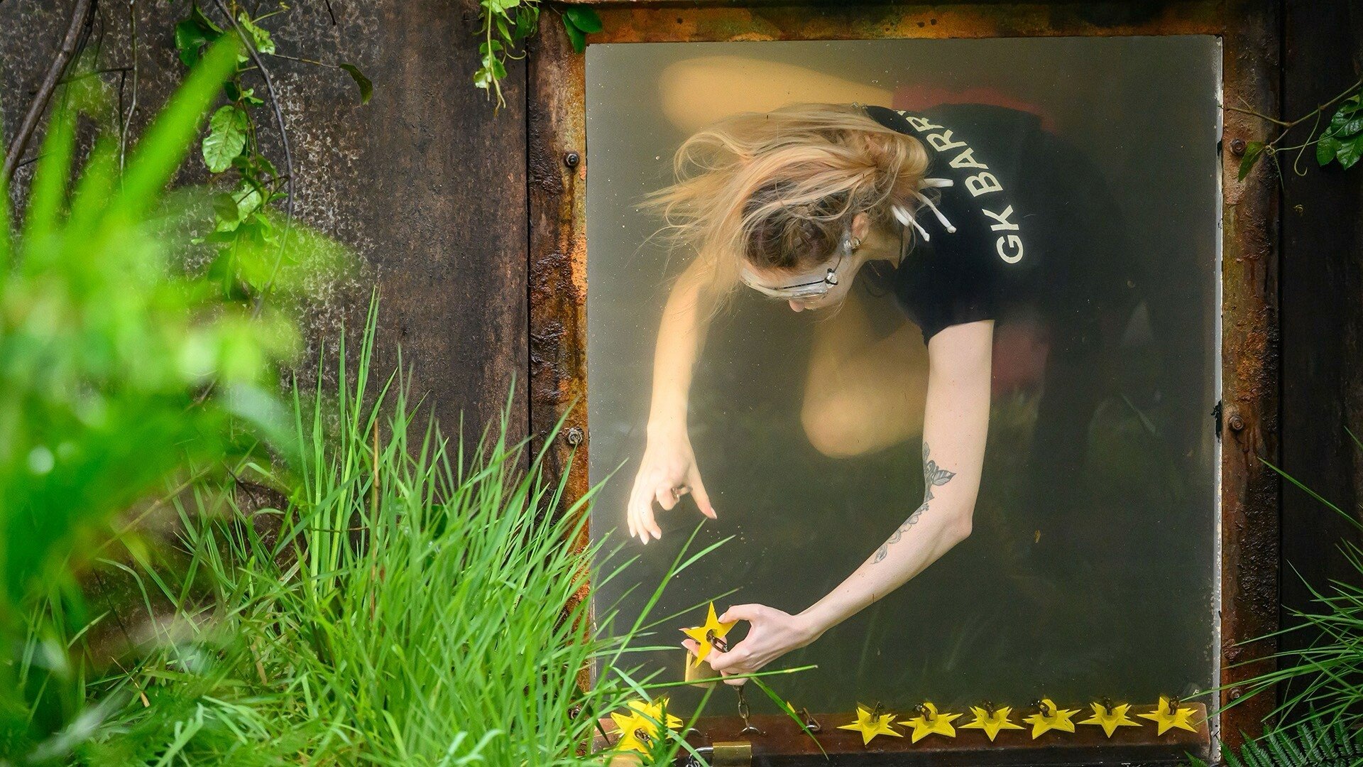 I'm a Celebrity...Get Me Out of Here!