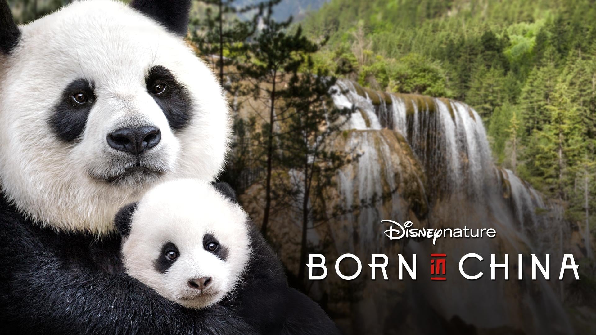 Born in China (2016)