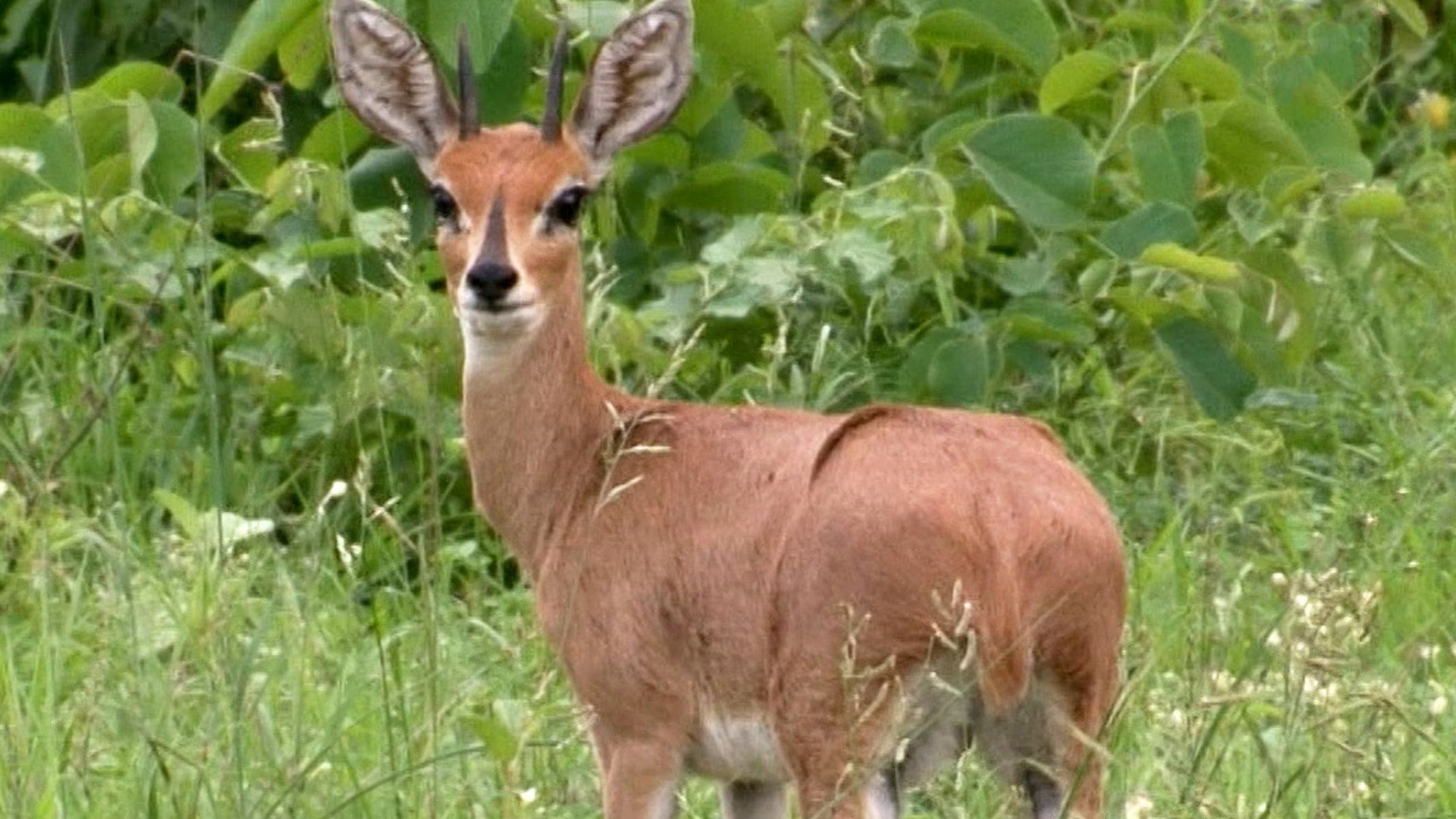Earth Odyssey with Dylan Dreyer S06E09 backdrop