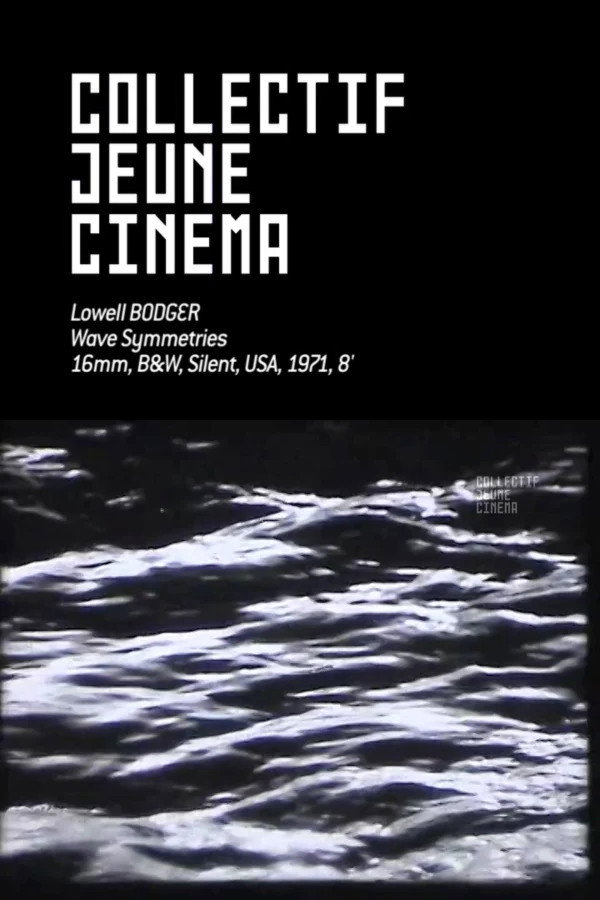 Poster for Wave Symmetries