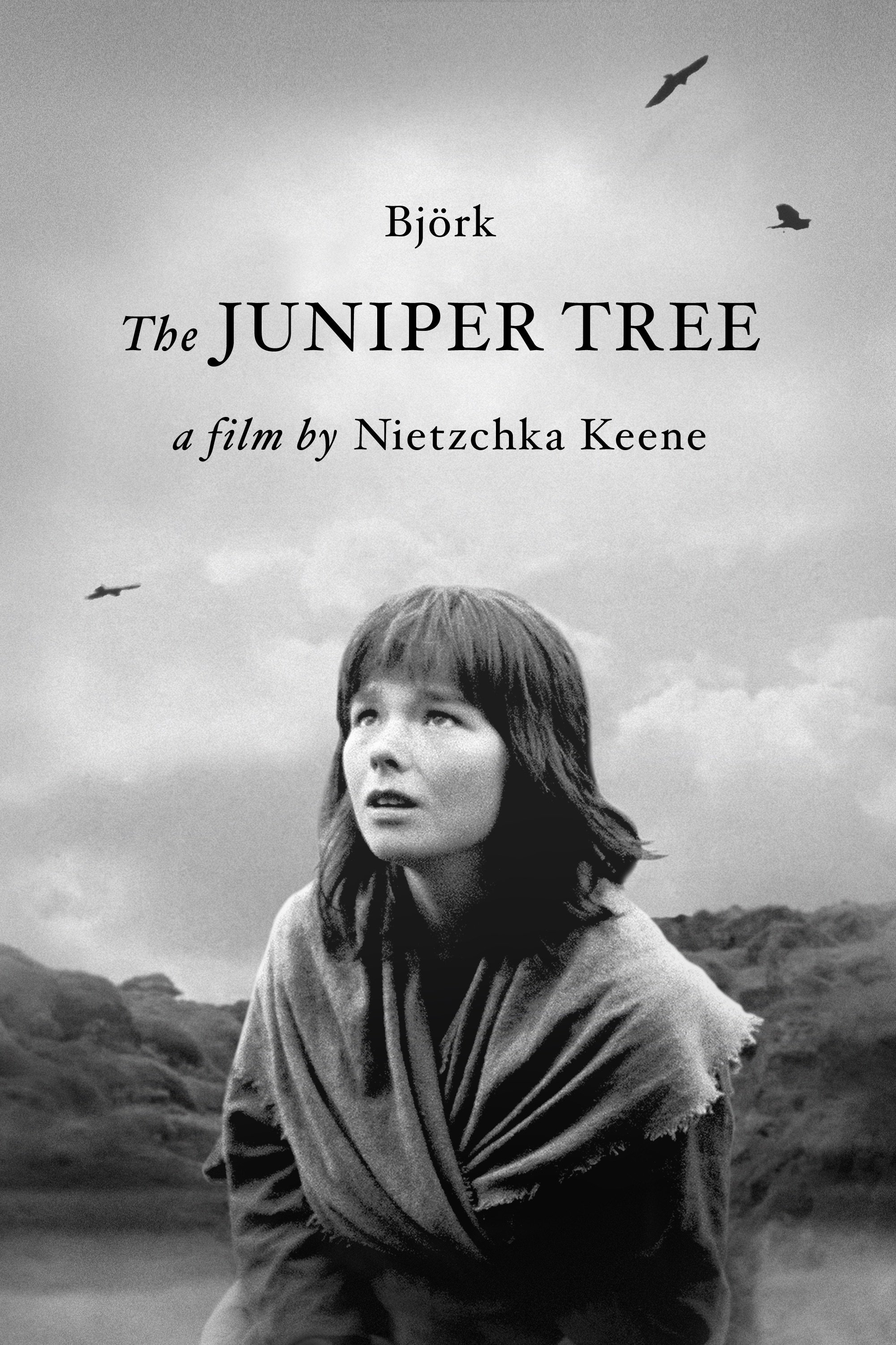 The Juniper Tree