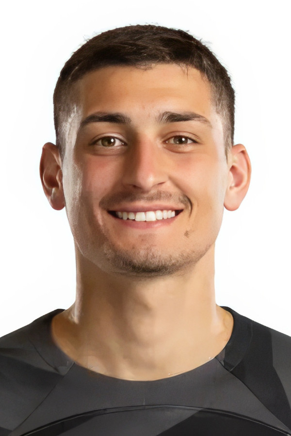 et billede af Đorđe Petrović