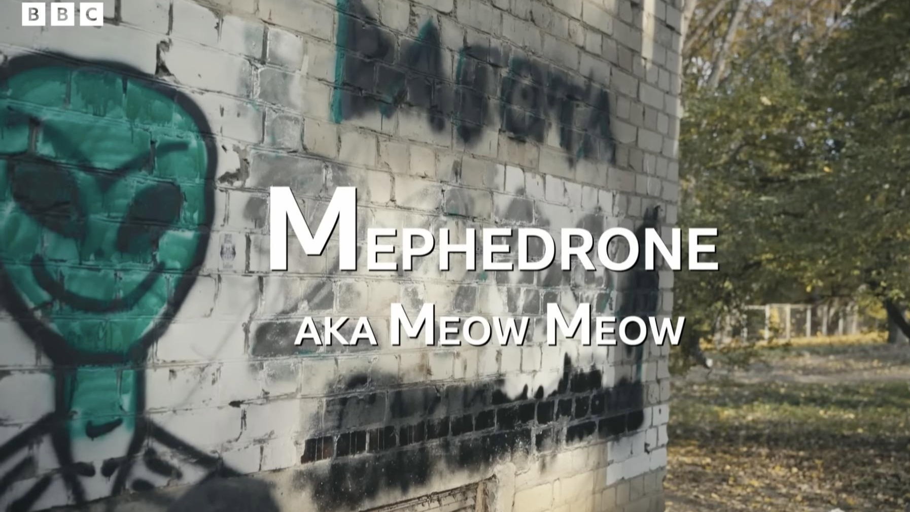 Mephedrone - a.k.a. Meow Meow