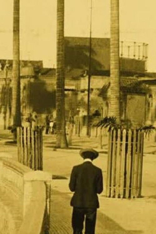 Panorama de Rio De Janeiro