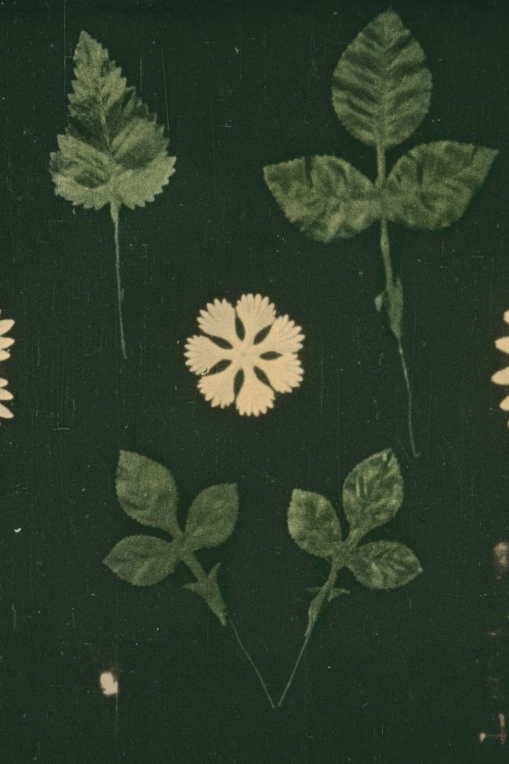 Fabrication des Fleurs Artificielles